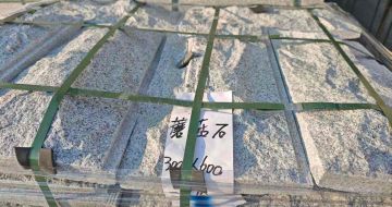 沧州芝麻白蘑菇石，自然面